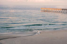 Beach Ocean Pier