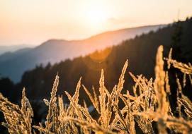 Summer Sunset Mountains