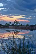 Grass Pond Sunset
