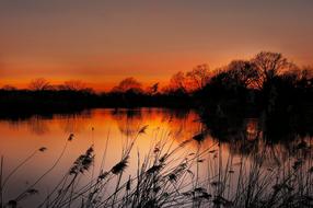 Sun Pond Water