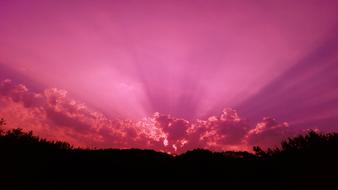 Purple Sky sunset landscape