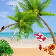 sea palm trees beach holiday ocean
