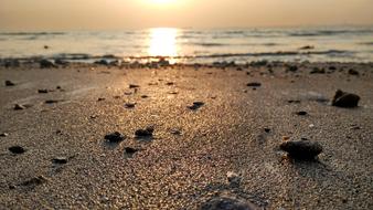 Sand Beach Seashore