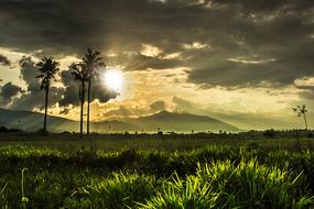 The Natural Scenery Halmahera