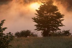 Nature Evening Sunset landscape