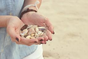 Hands Seashells Beach