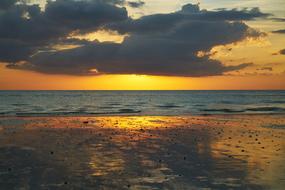 Beach Landscape Background