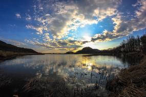 Blue Nature Light