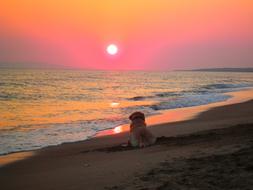 Sunset Beach Labrador