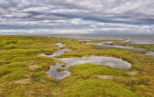 Ameland Sea North