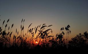 Sunset Silhouette Sun