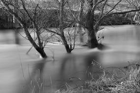 Nature Waters Reflection