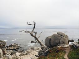Ocean Sea Rocks