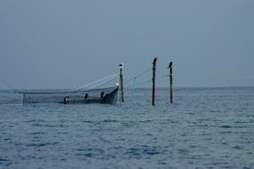 Baltic Sea Fishing Networks