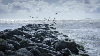 North Sea Beach