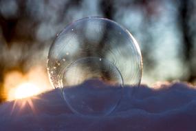 Frozen Seifenblasen Soap Bubbles