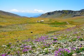 Nature Landscape KaÃ§kars