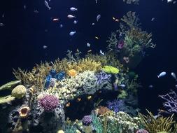 Sea Marine Water