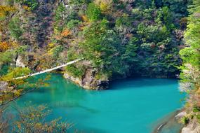 Walking Bridge Water