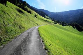 Nature Grass Landscape