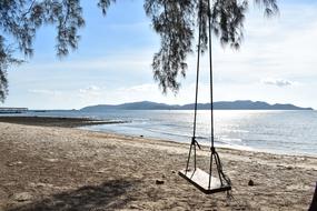 Swing beneath tree on Beach at sea