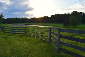 Sunset Field Pasture