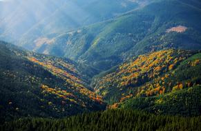 Mountain Hill meadow