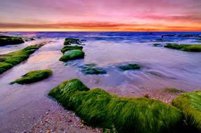 Sunset Ocean Sea