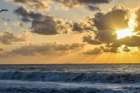 Water Sunset Sea