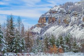 Snow Winter Nature