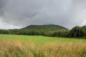 Nature Auvergne Fields