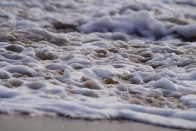 Froth Sea Ocean