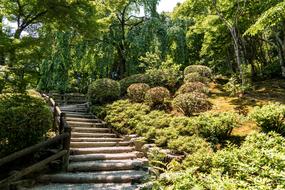 Arashiyama Japan Stairs Path Park