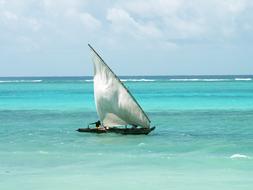 Boat Fisherman Sea