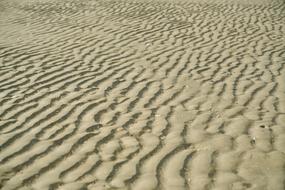 Sandy Beach texture