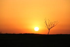 Sunset Dawn Silhouette