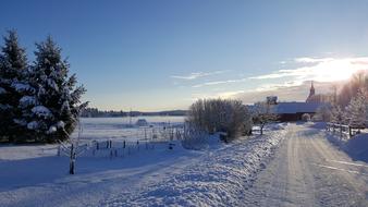 Winter Snow Nature