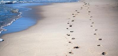 Footprints Sand Sea