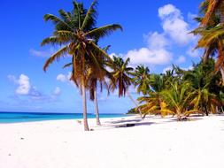 Palm Beach