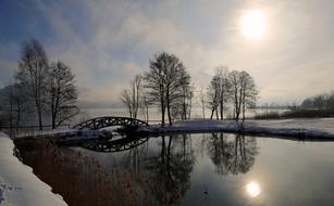 Winter Trees Snow