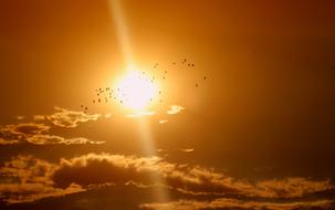 Sunset Birds Cloud