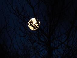 Moon Moonlit Blue Sky Night
