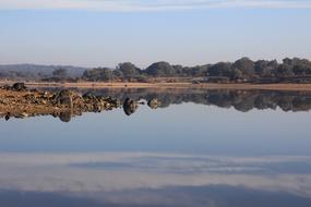 Mirror Sea Mirroring