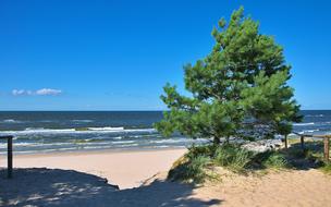 Sea Landscape Beach The Entrance