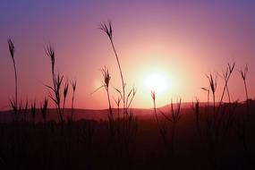 Sunset Silhouette Landscape