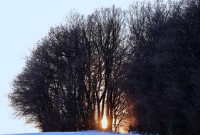 Winter Evening Sun Snow