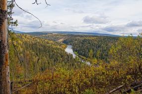 Nature Landscape Wood