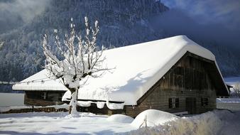 Konigssee Hut Berchtesgadener Land at winter