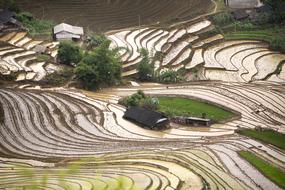 Blind Stretch Comb Lao Cai landscape