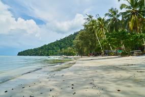 Beach Tropical Marine sand